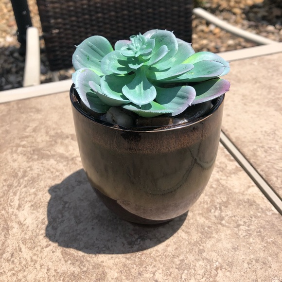 Other - Faux succulent